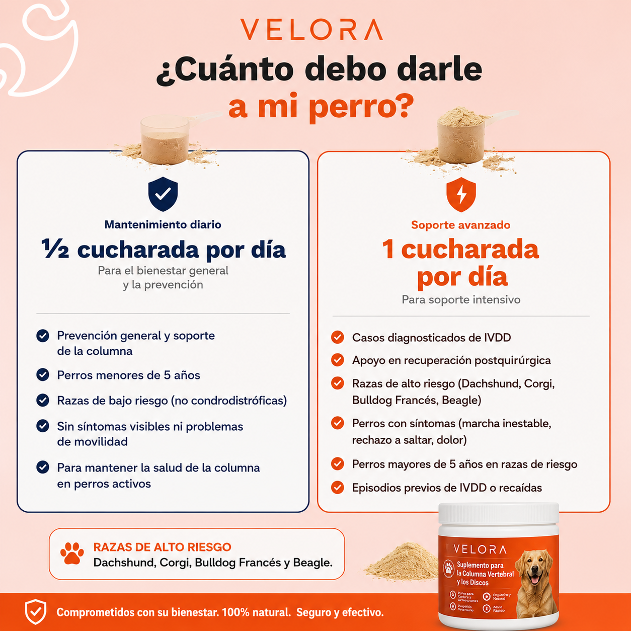 Velora - Polvo para la Columna Vertebral y los Discos