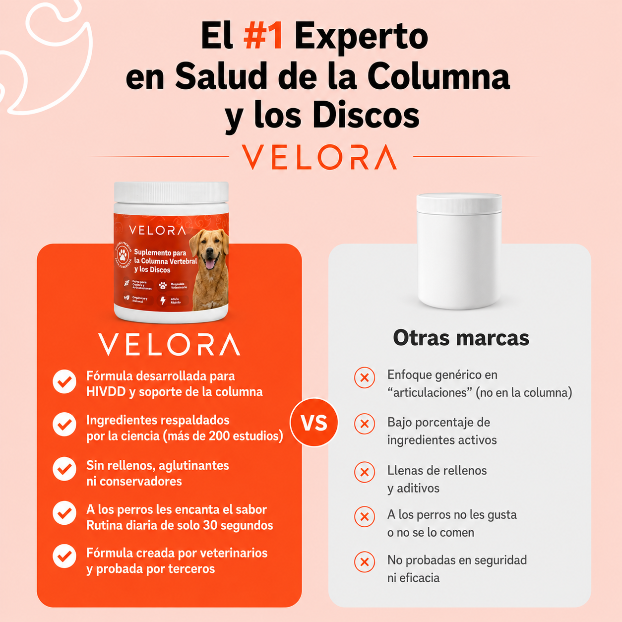 Velora - Polvo para la Columna Vertebral y los Discos