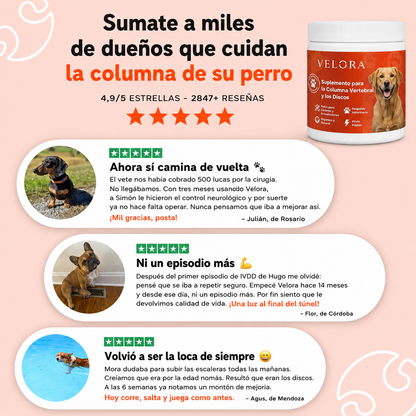 Velora - Polvo para la Columna Vertebral y los Discos